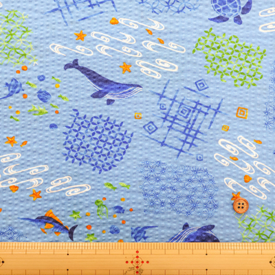 �J���[�o���G�[�V����