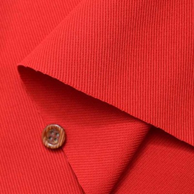 カツラ（桂）【現品発送】管理70554 カツラ（桂）【現品発送】管理70554 苗木・植木