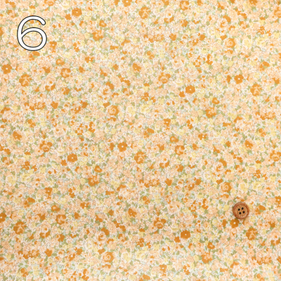 �J���[�o���G�[�V����