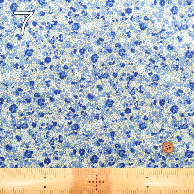 �J���[�o���G�[�V����