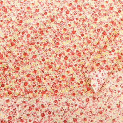 �J���[�o���G�[�V����