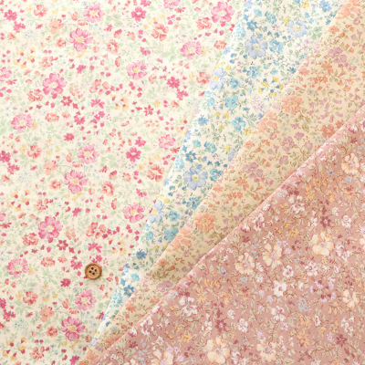 �J���[�o���G�[�V����