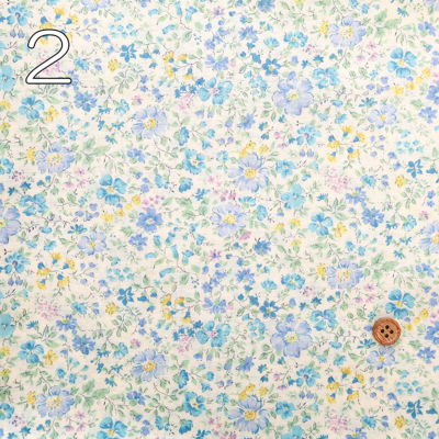 �J���[�o���G�[�V����