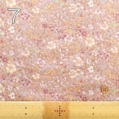 �J���[�o���G�[�V����