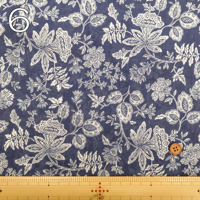 �J���[�o���G�[�V����