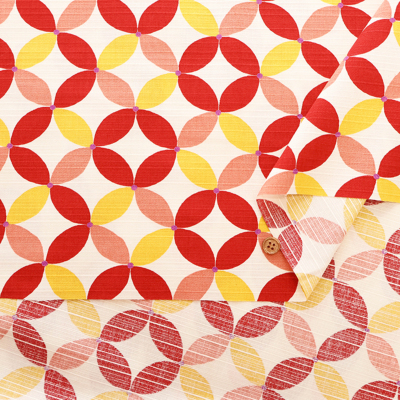 �J���[�o���G�[�V����