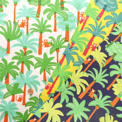 �J���[�o���G�[�V����