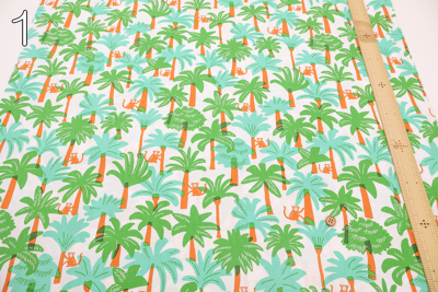 �J���[�o���G�[�V����