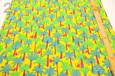 �J���[�o���G�[�V����