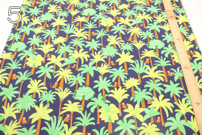 �J���[�o���G�[�V����