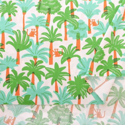 �J���[�o���G�[�V����