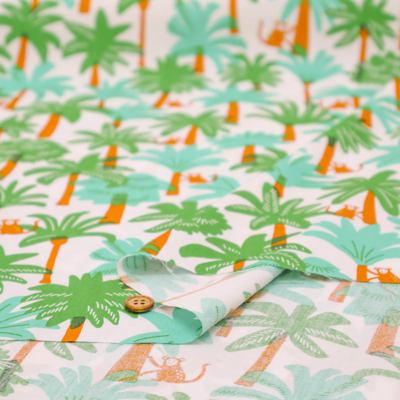 �J���[�o���G�[�V����