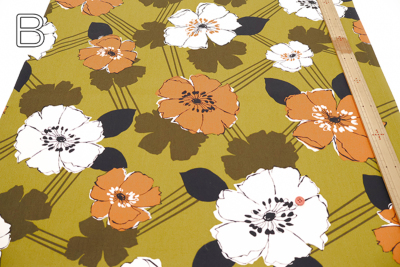 �J���[�o���G�[�V����