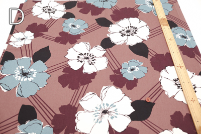 �J���[�o���G�[�V����