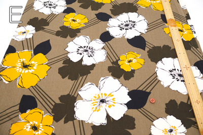 �J���[�o���G�[�V����