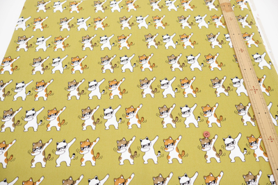 �J���[�o���G�[�V����