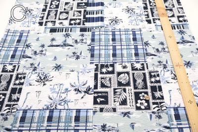 �J���[�o���G�[�V����