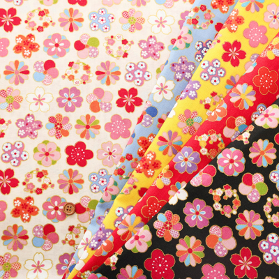 �J���[�o���G�[�V����