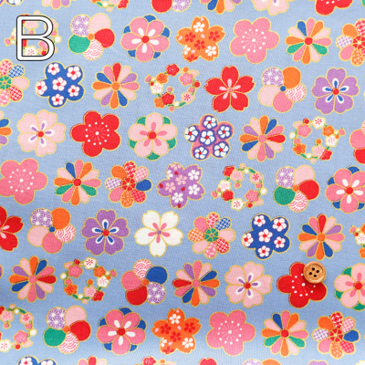 �J���[�o���G�[�V����