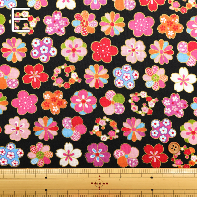 �J���[�o���G�[�V����