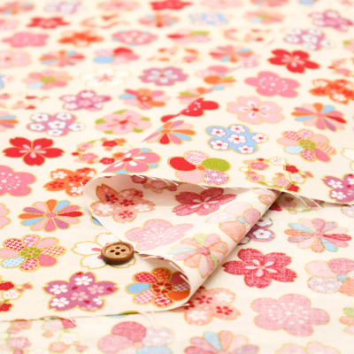 �J���[�o���G�[�V����