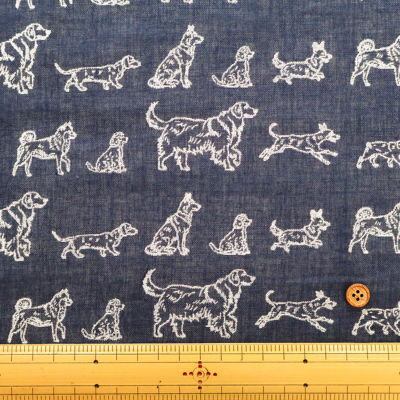 �J���[�o���G�[�V����