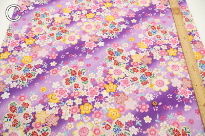 �J���[�o���G�[�V����