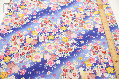 �J���[�o���G�[�V����