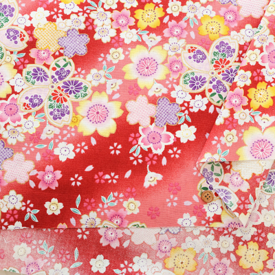 �J���[�o���G�[�V����