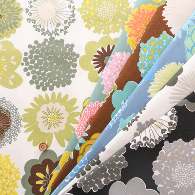 �J���[�o���G�[�V����