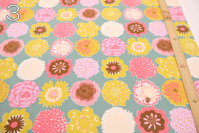 �J���[�o���G�[�V����