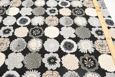 �J���[�o���G�[�V����