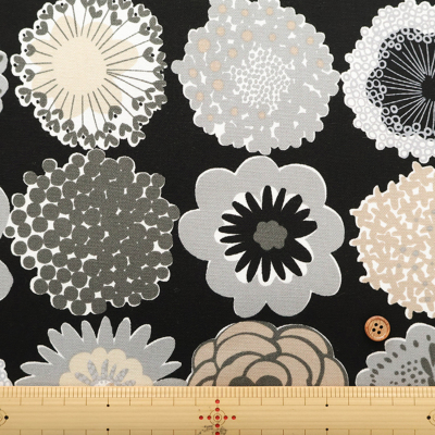 �J���[�o���G�[�V����