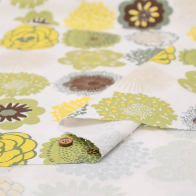 �J���[�o���G�[�V����