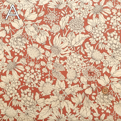 �J���[�o���G�[�V����