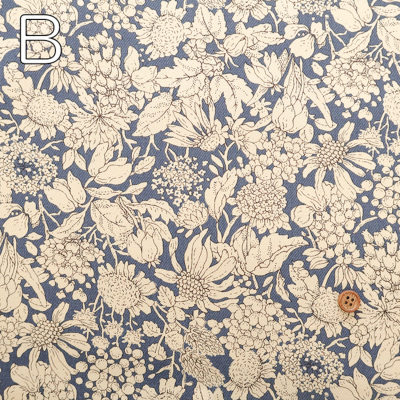 �J���[�o���G�[�V����