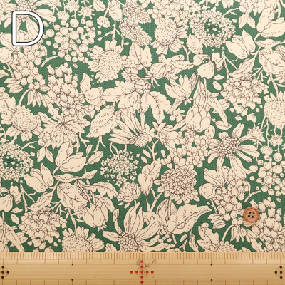 �J���[�o���G�[�V����