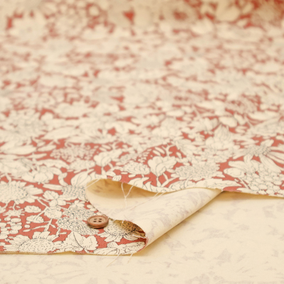 �J���[�o���G�[�V����