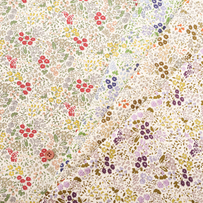 �J���[�o���G�[�V����