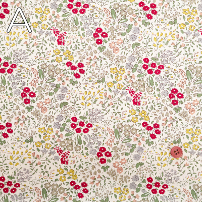 �J���[�o���G�[�V����