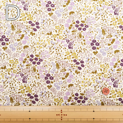 �J���[�o���G�[�V����