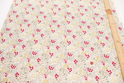 �J���[�o���G�[�V����