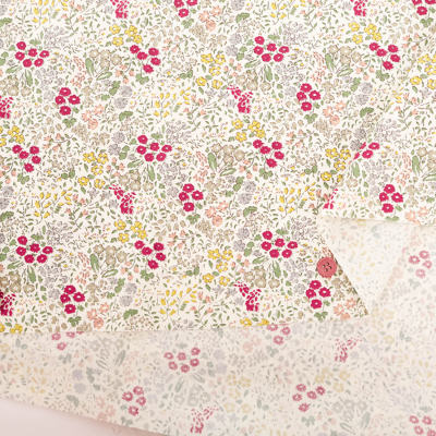 �J���[�o���G�[�V����