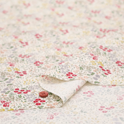 �J���[�o���G�[�V����