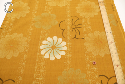 �J���[�o���G�[�V����