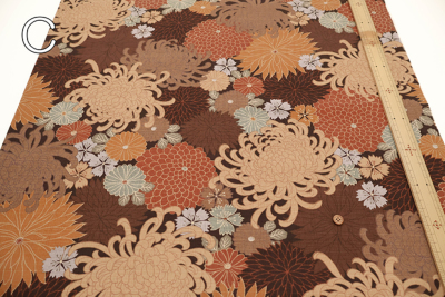 �J���[�o���G�[�V����