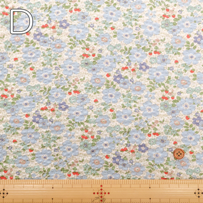 �J���[�o���G�[�V����