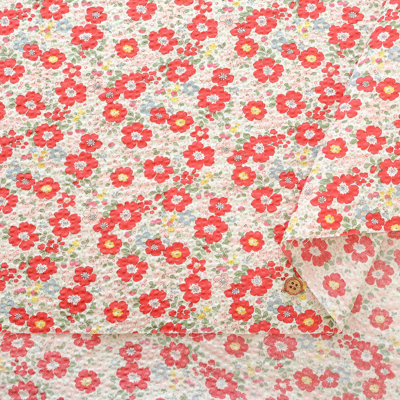 �J���[�o���G�[�V����