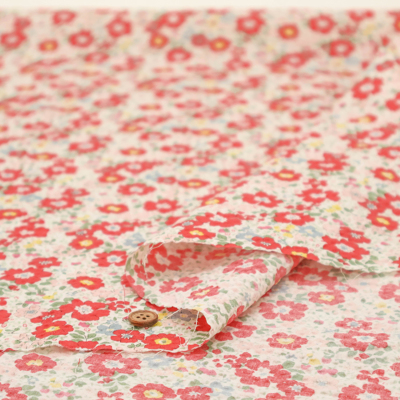 �J���[�o���G�[�V����