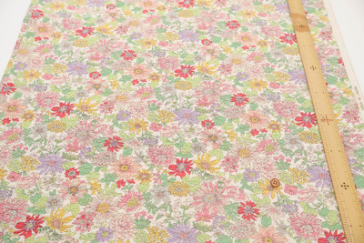 �J���[�o���G�[�V����